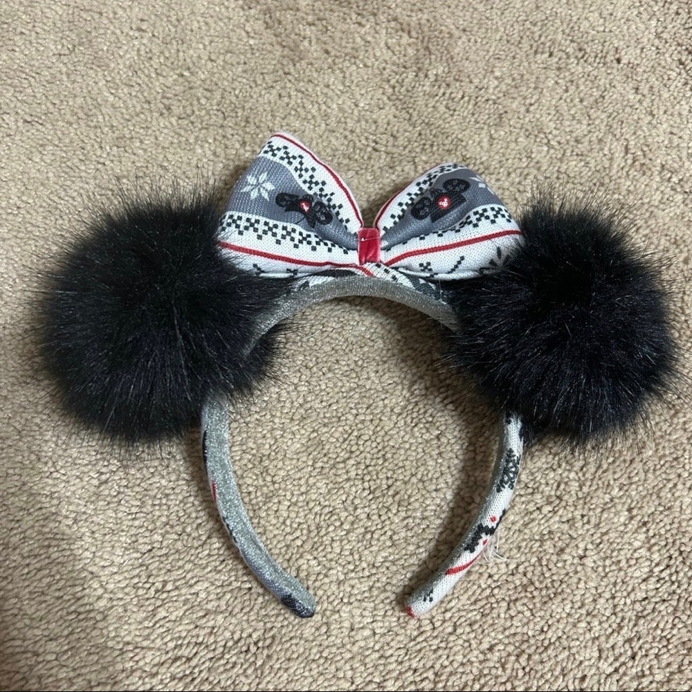 Winter 2018 Mickey Ears Disney World